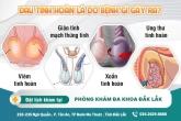 Đau tinh hoàn là triệu chứng bệnh gì? có nguy hiểm không?