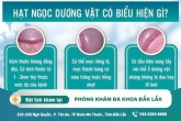 Chuỗi hạt ngọc dương vật là bệnh gì? Có nguy hiểm không?