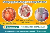 U nang tinh hoàn - Địa chỉ điều trị an toàn hiệu quả tại Đắk Lắk