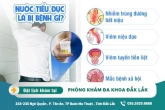 Nước tiểu đục báo hiệu điều gì? các bệnh lý liên quan