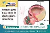 Thông tin chi tiết về viêm bàng quang ở nam giới