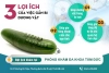 Có nên gắn bi dương vật? Tác dụng khi gắn bi dương vật