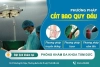 Cắt bao quy đầu là gì? Phương pháp và chi phí cắt bao quy đầu