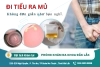 Đi tiểu ra mủ là dấu hiệu bệnh gì? Nguyên nhân và cách điều trị hiệu quả hiện nay