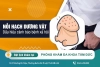 Dương vật nổi hạch phải làm sao? Chớ xem thường hãy điều trị ngay