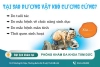 Dương vật không cương gây ảnh hưởng đời sống - tìm hiểu cách chữa trị ngay