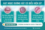 Tìm hiểu về chuỗi hạt ngọc dương vật. Những điều bạn chưa biết