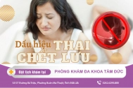 Thai lưu là gì? Dấu hiệu nhận biết thai lưu ở nữ giới