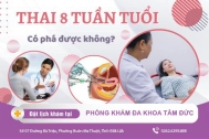 Các thông tin về cách phá thai 8 tuần tuổi hiệu quả