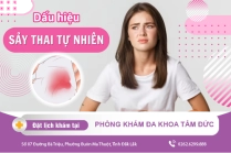 Sảy Thai