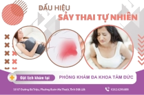 Sảy Thai
