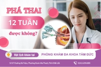 Thời Điểm Đình Chỉ Thai