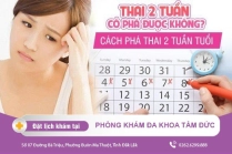 Thời Điểm Đình Chỉ Thai