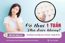 Thời Điểm Đình Chỉ Thai