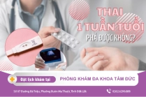 Thời Điểm Đình Chỉ Thai