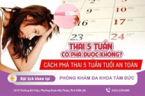 Thời Điểm Đình Chỉ Thai