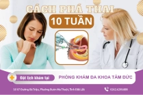 Thời Điểm Đình Chỉ Thai