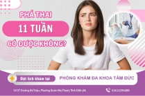 Thời Điểm Đình Chỉ Thai