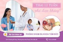 Thời Điểm Đình Chỉ Thai