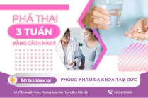 Thời Điểm Đình Chỉ Thai