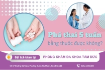 Thời Điểm Đình Chỉ Thai