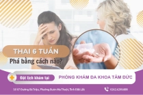 Thời Điểm Đình Chỉ Thai