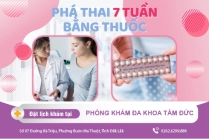 Thời Điểm Đình Chỉ Thai