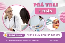 Thời Điểm Đình Chỉ Thai