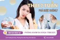 Thời Điểm Đình Chỉ Thai