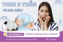 Phương Pháp Đình Chỉ Thai