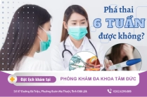 Thời Điểm Đình Chỉ Thai
