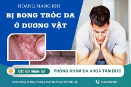 Dương vật bị tróc da là bệnh gì? Chữa trị ở đâu hiệu quả