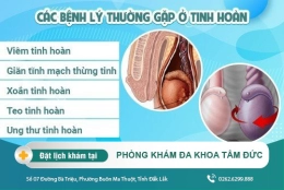 Các bệnh về tinh hoàn và triệu chứng của bệnh nam giới ít ai biết