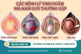 Tổng quan các bệnh lý thường gặp ở tinh hoàn