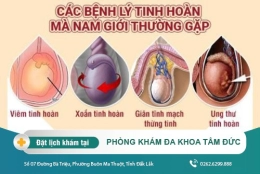 Cách trị bệnh tinh hoàn tại Đắk Lắk - Các bệnh về tinh hoàn thường gặp