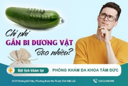 Chi phí gắn bi dương vật bao nhiêu, cập nhật thông tin tại đây