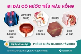 Nước tiểu màu hồng - Nguyên nhân và cách điều trị hiệu quả