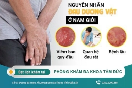 Đau dương vật phải làm sao? Cách khắc phục tình trạng này hiệu quả