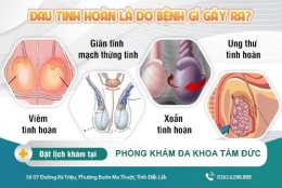 Một số thông tin về bệnh đau tinh hoàn mà nam giới cần biết