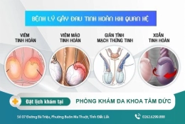 Đau tinh hoàn khi quan hệ - phương pháp điều trị hiệu quả cho nam giới