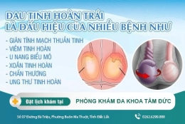 Đau tinh hoàn trái là dấu hiệu của bệnh gì?