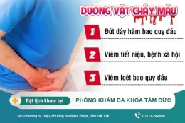Chảy máu dương vật có nguy hiểm không? Cách điều trị chảy máu dương vật