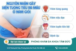 Tiểu ra máu là bệnh gì? Nguyên nhân và cách chữa trị hiệu quả