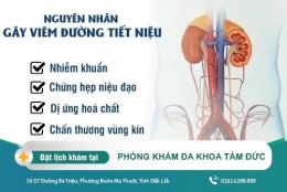 Bệnh Viêm Đường Tiết Niệu Ở Nam Giới: Nguyên Nhân Và Những Dấu Hiệu Cần Đi Khám