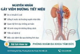 Đâu là nguyên nhân viêm đường tiết niệu ở nam giới? Tác hại và cách điều trị
