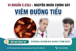 Các nguyên nhân dẫn đến viêm đường tiểu ở nam giới tham khảo ngay tại đây nhé!