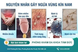 Ngứa vùng kín nam - nguyên nhân, triệu chứng và cách điều trị