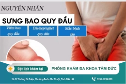 Sưng bao quy đầu do đâu và trị bằng cách nào