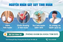 Suy tinh hoàn ở phái mạnh: nguyên nhân - triệu chứng - cách điều trị
