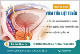 Viêm tuyến tiền liệt - Nguyên nhân và cách điều trị